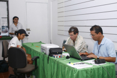DOMINGO 2008