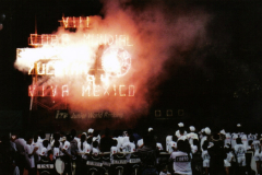 logo-iluminado