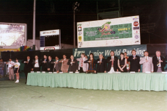presidium-honores-a-la-bandera