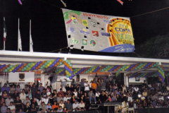 publico-asistente5