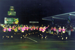 bailable2