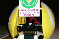 carrito