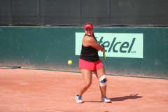 IMG_1549_