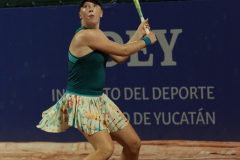 DSC07794