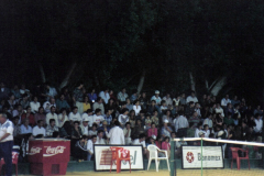 banamex-y-telcel-en-cancha-estadio