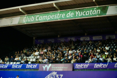 vier29-2024-32
